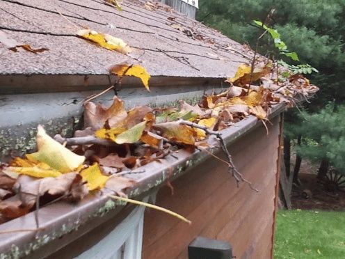 Leaves and twigs clogging up a home's gutter